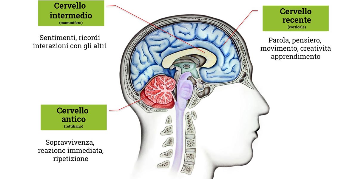 Neurodesign